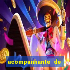 acompanhante de luxo agenda 31